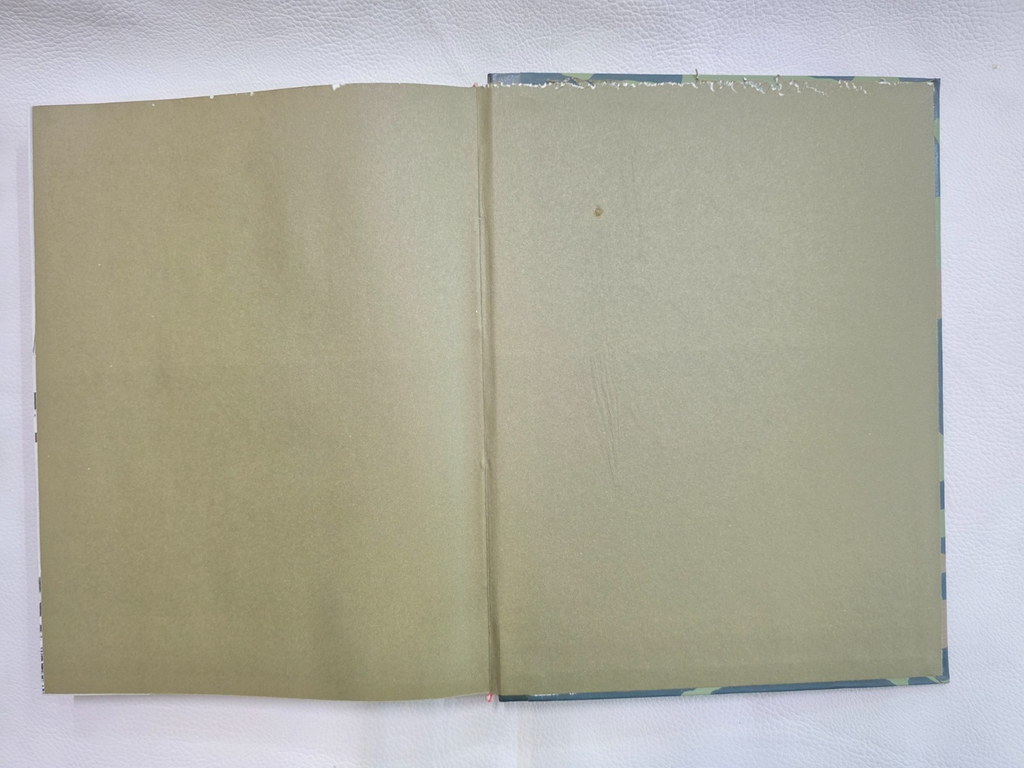 "I Piloti dell'Elite" di Peter Young libro-Volume secondo, edizione italiana