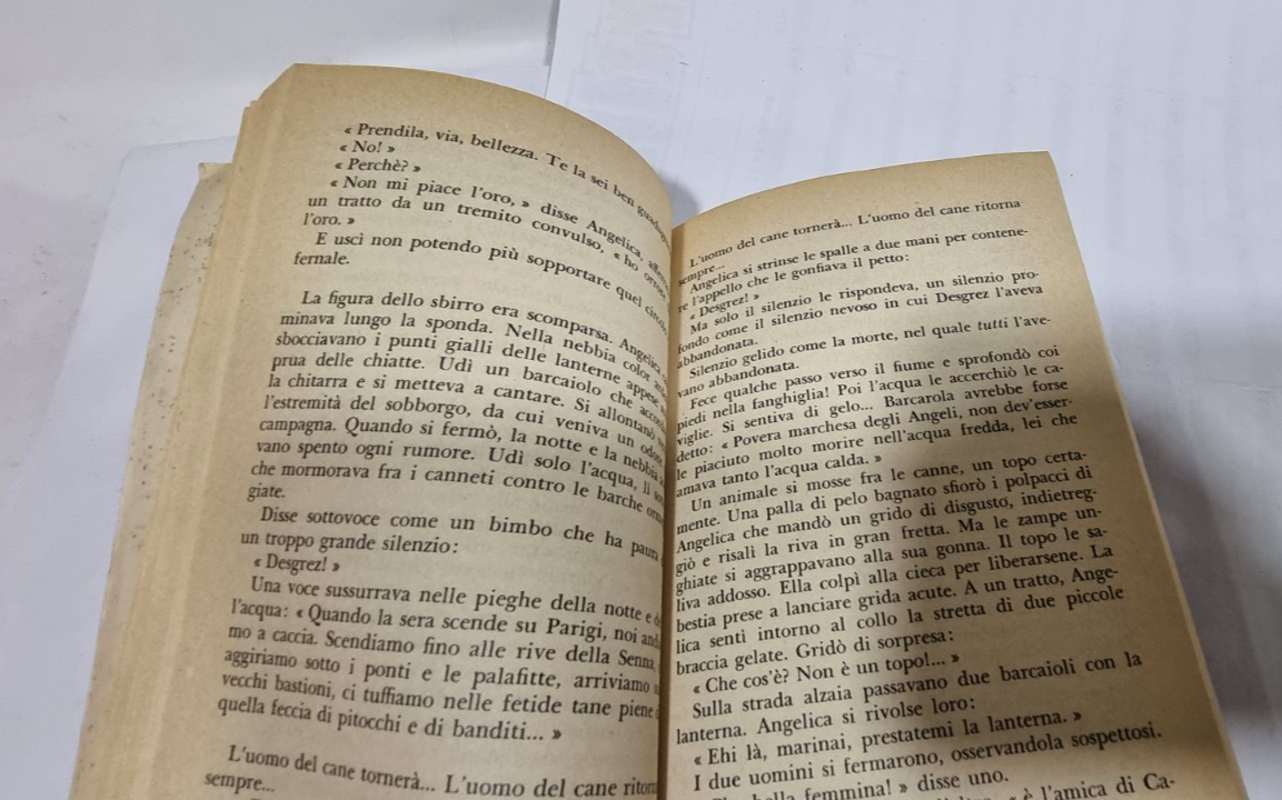 Image #7