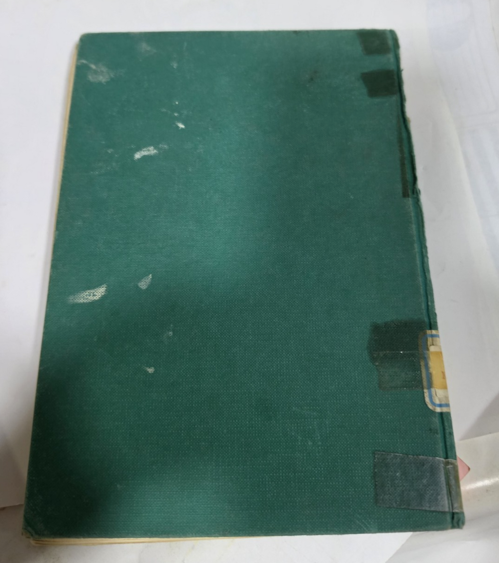 Image #7