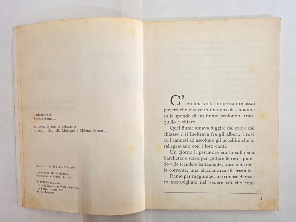 Image #5