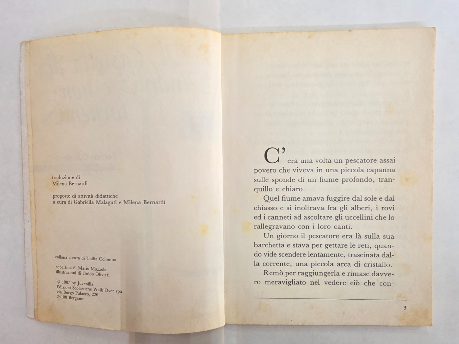 Image #5