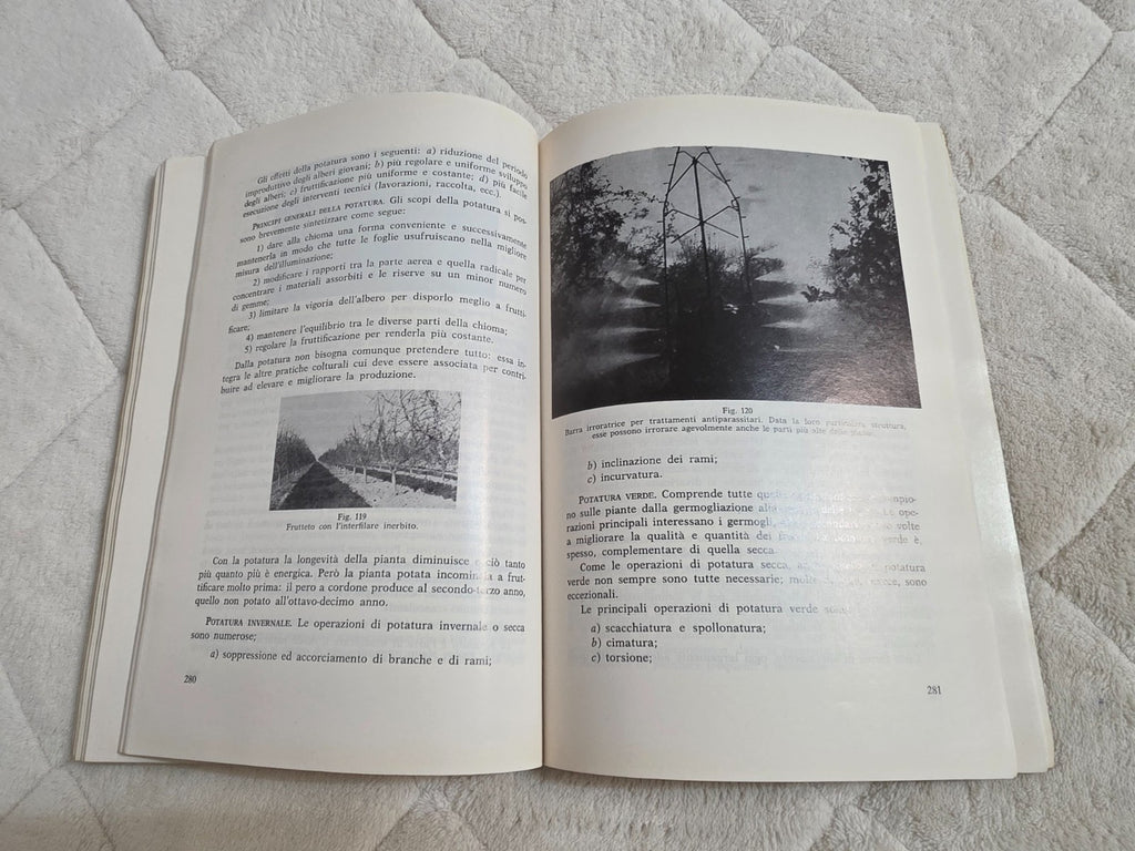 Image #9