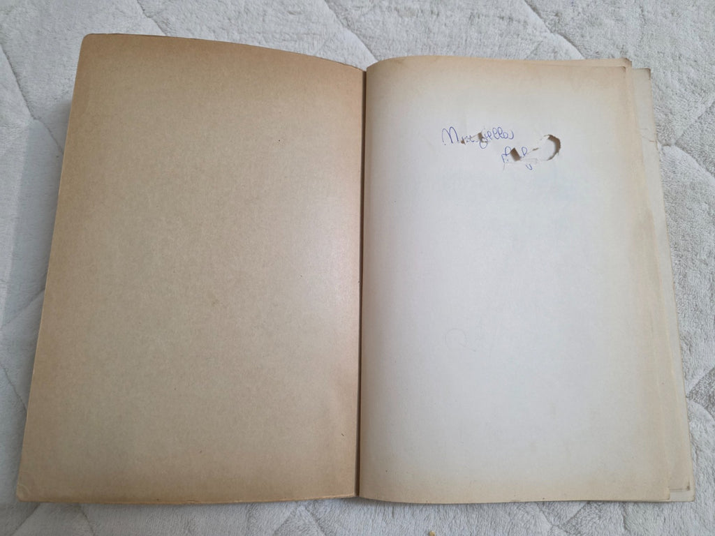 Image #8