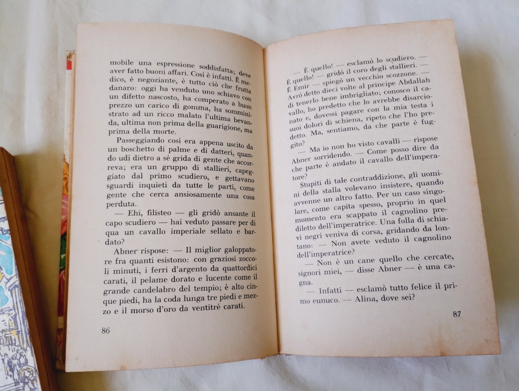 Image #8