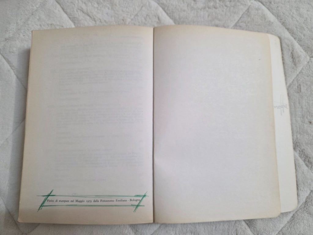 Image #12