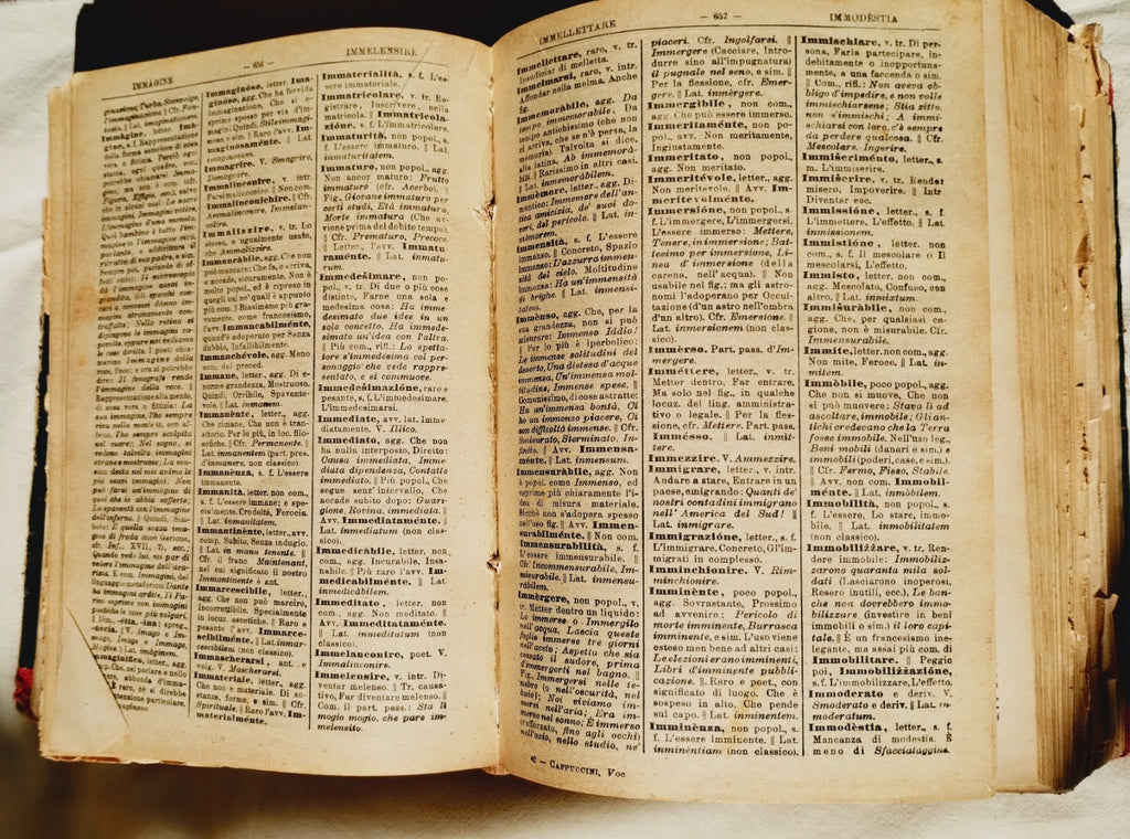 Image #8