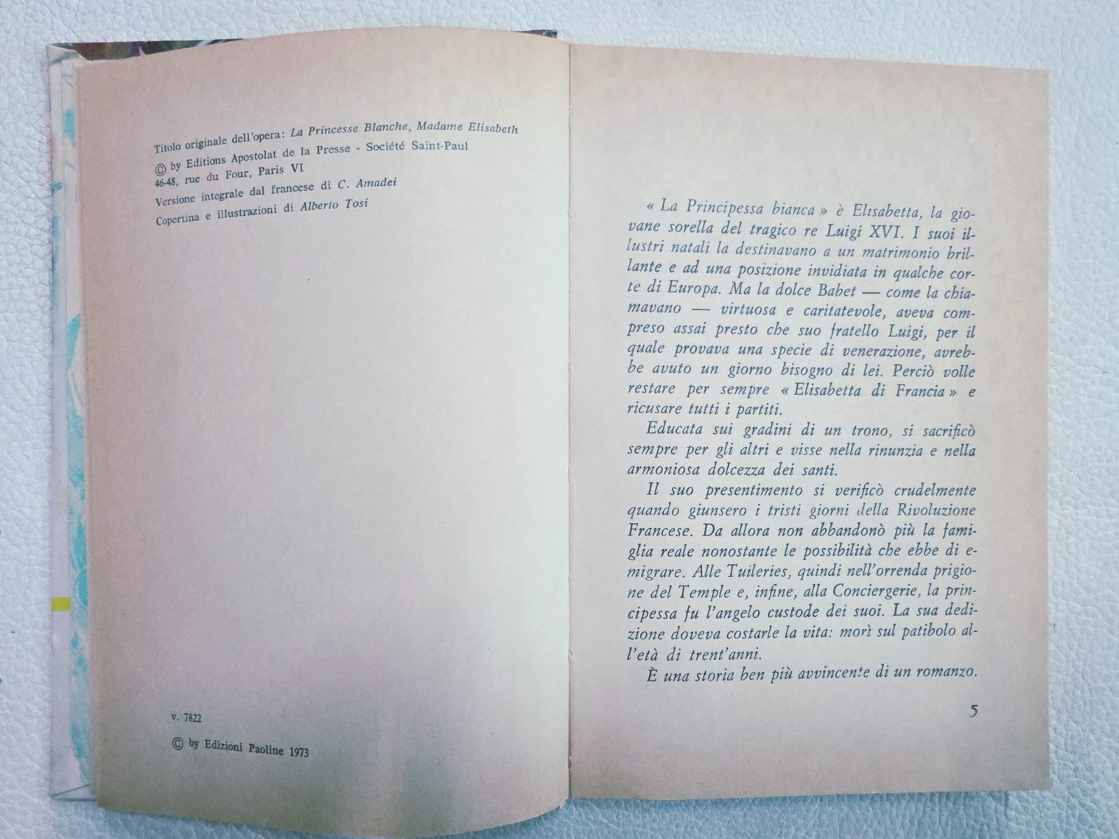 Image #7