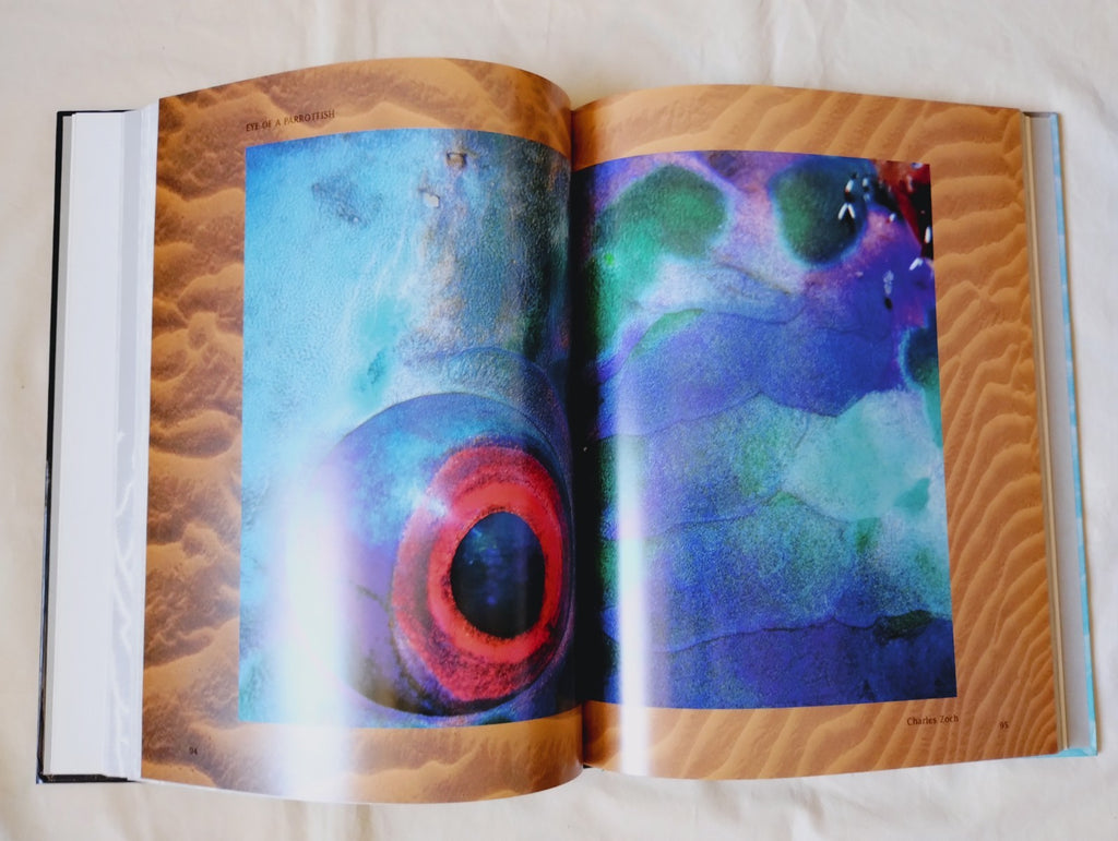 Image #8