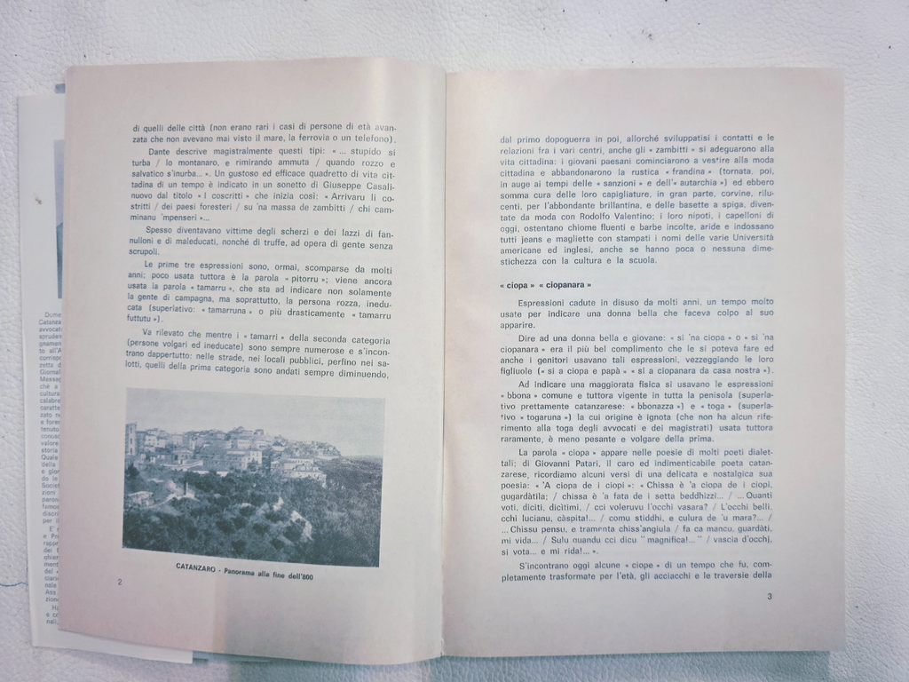 Image #12