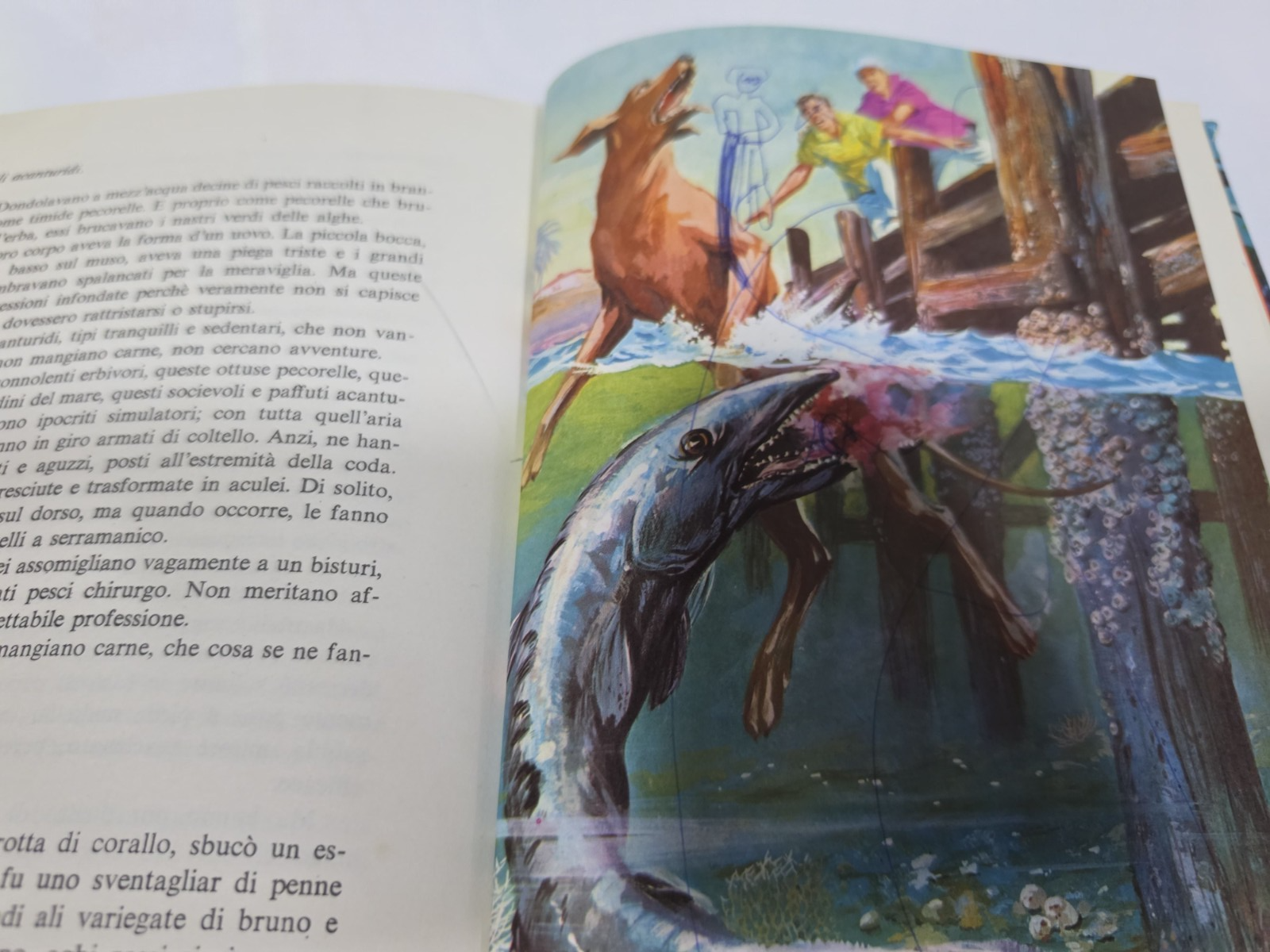 Image #7