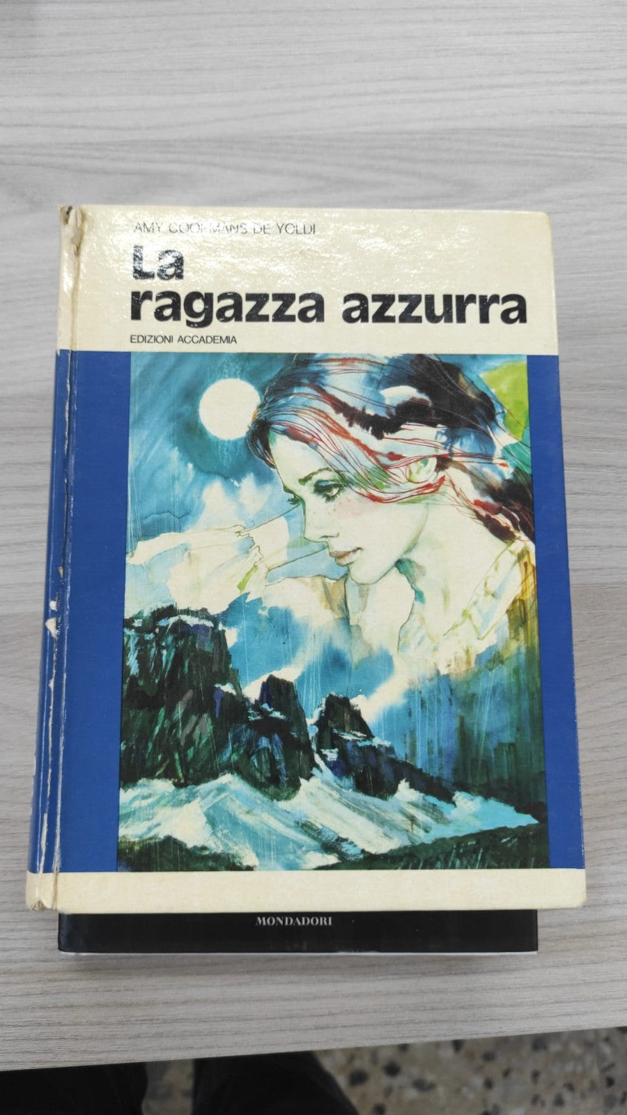 Image #4