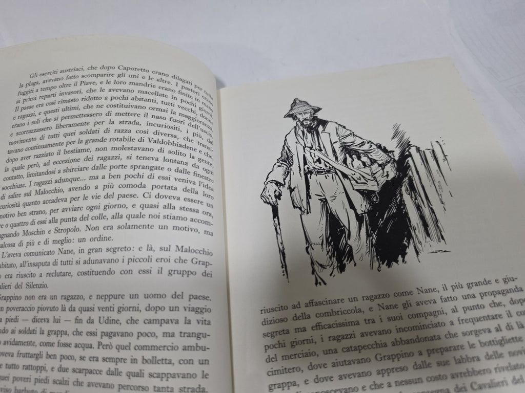 Image #7