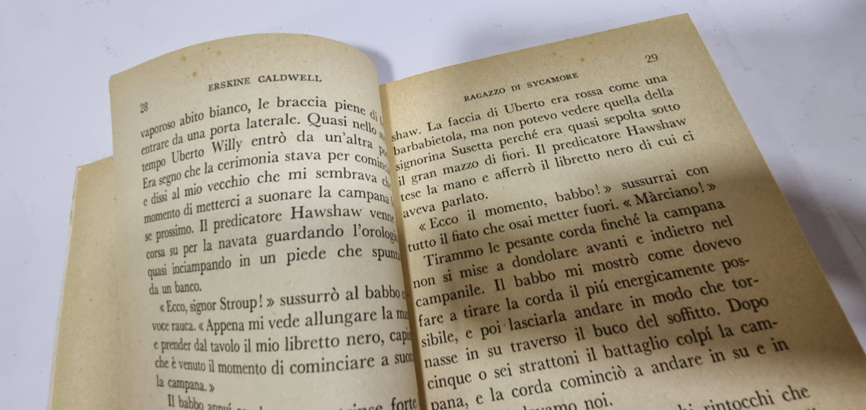 Image #8
